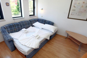 Central Cushy Studio DRAK2